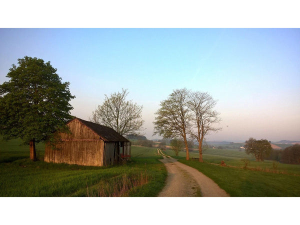 Eifel | Beer Belly Cologne